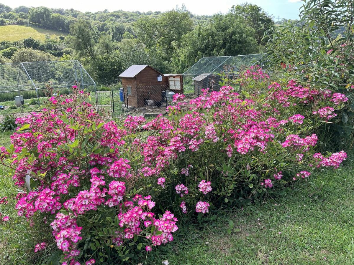 Keryanti Domaine De Lesleac'H Villa Le Ponthou Buitenkant foto